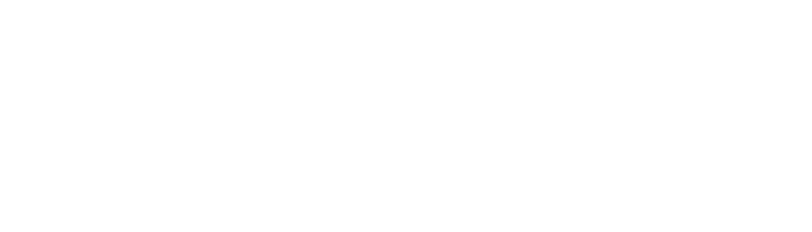 Segment Telecom